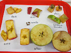 Dissecting an Apple.