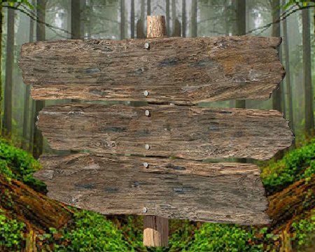 Solucion Mount Forest Escape Pistas Juegos de Escape