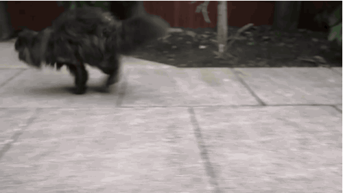 Https Encrypted Tbn0 Gstatic Com Images Q Tbn 3aand9gcqrpqes1zlkmnieqozlikvybw9rjue5zngz7g Usqp Cau