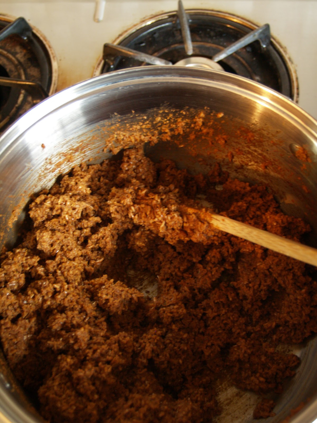 Sunshine Through the Windows Ground beef substitute