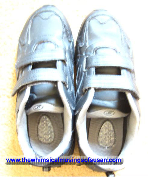 The Whimsical Musings Of Susan Dr Scholl S Advanced Comfort