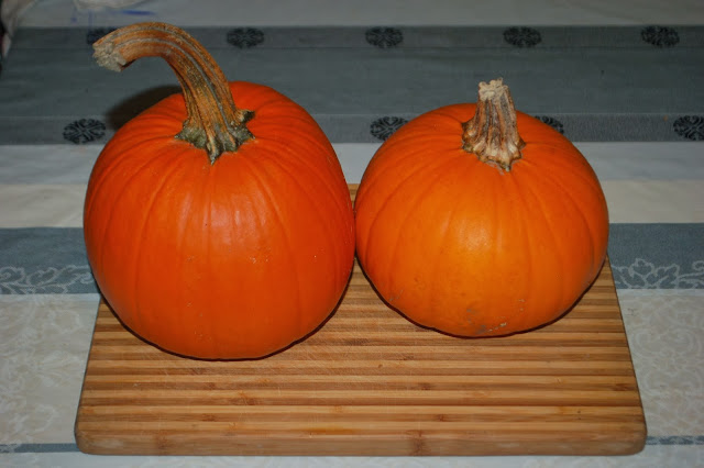 DSC_0679.JPG