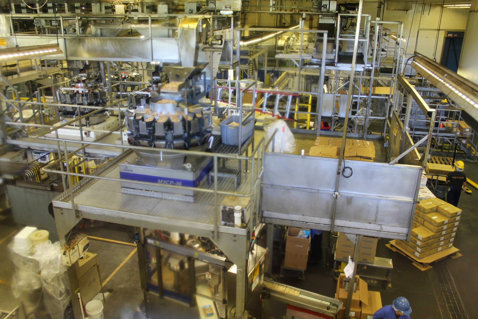 Likeness in a Change of Scenery Going Nuts for Macadamias on Hawaii