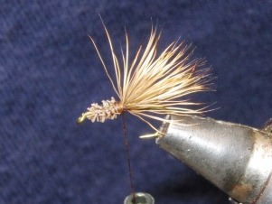 Fly Tying Videos How To Tie Flies For Freshwater And Saltwater