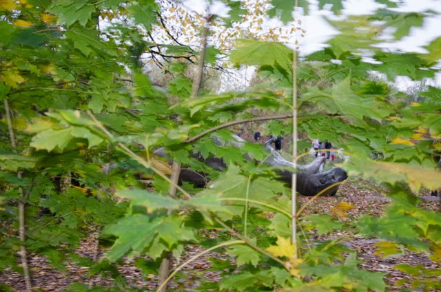 bar coupole paris rencontre