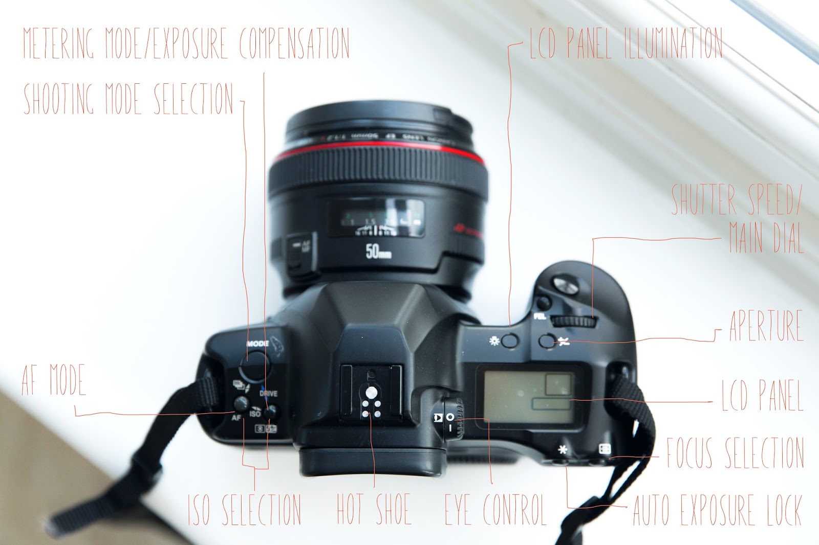 Charlie Farlie Photography Canon EOS 3 Homemade Manual The Basics