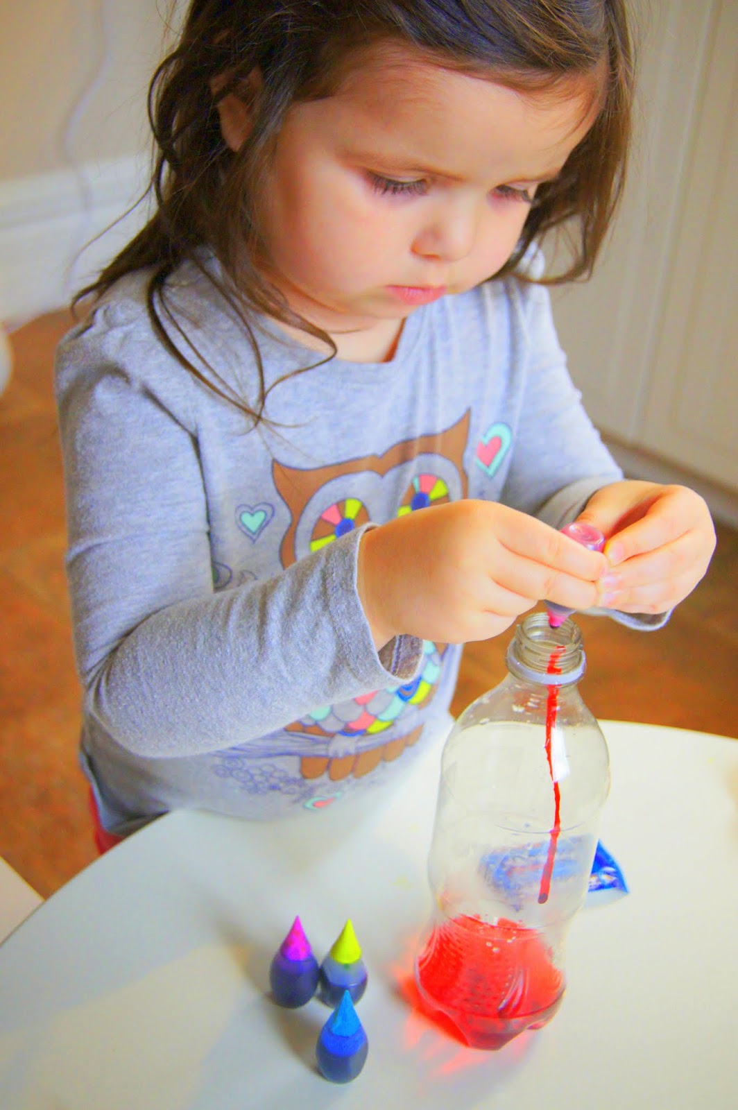 Lava Lamp Experiment, Science At Home "Making Montessori Ours"