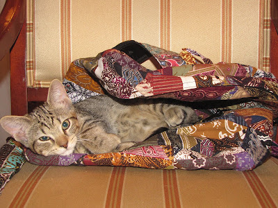 Kitten+in+Backpack - Cat's Out Of The Bag - The Patchwork Hippy Bag