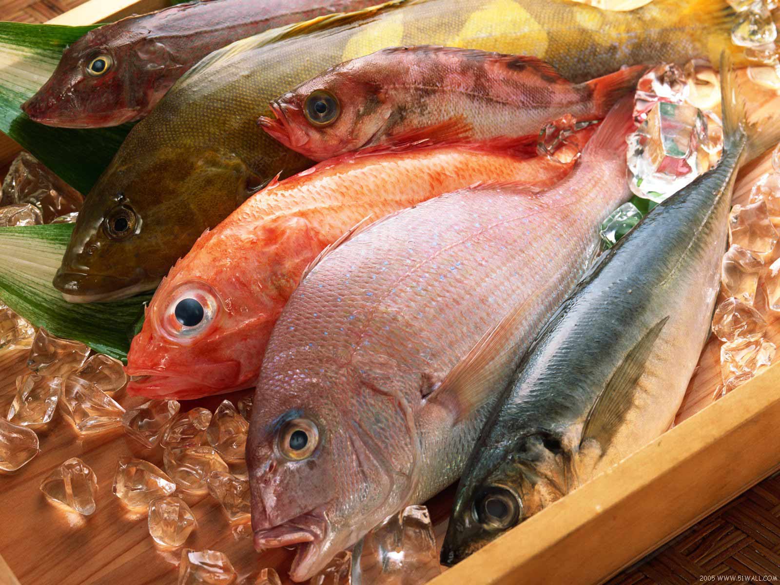 savvy suggestions how to buy and store fish savvy suggestions how to buy and store fish