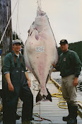 Halibut