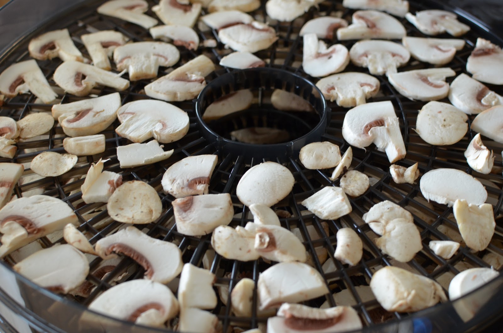 How to Dehydrate Mushrooms