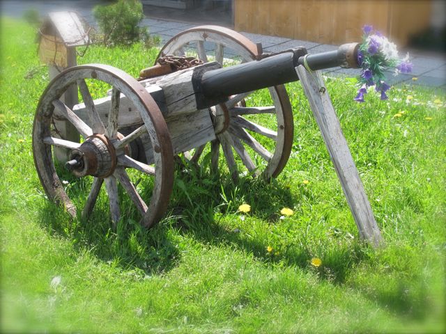mettete+dei+fiori+nei+vostri+cannoni.jpg