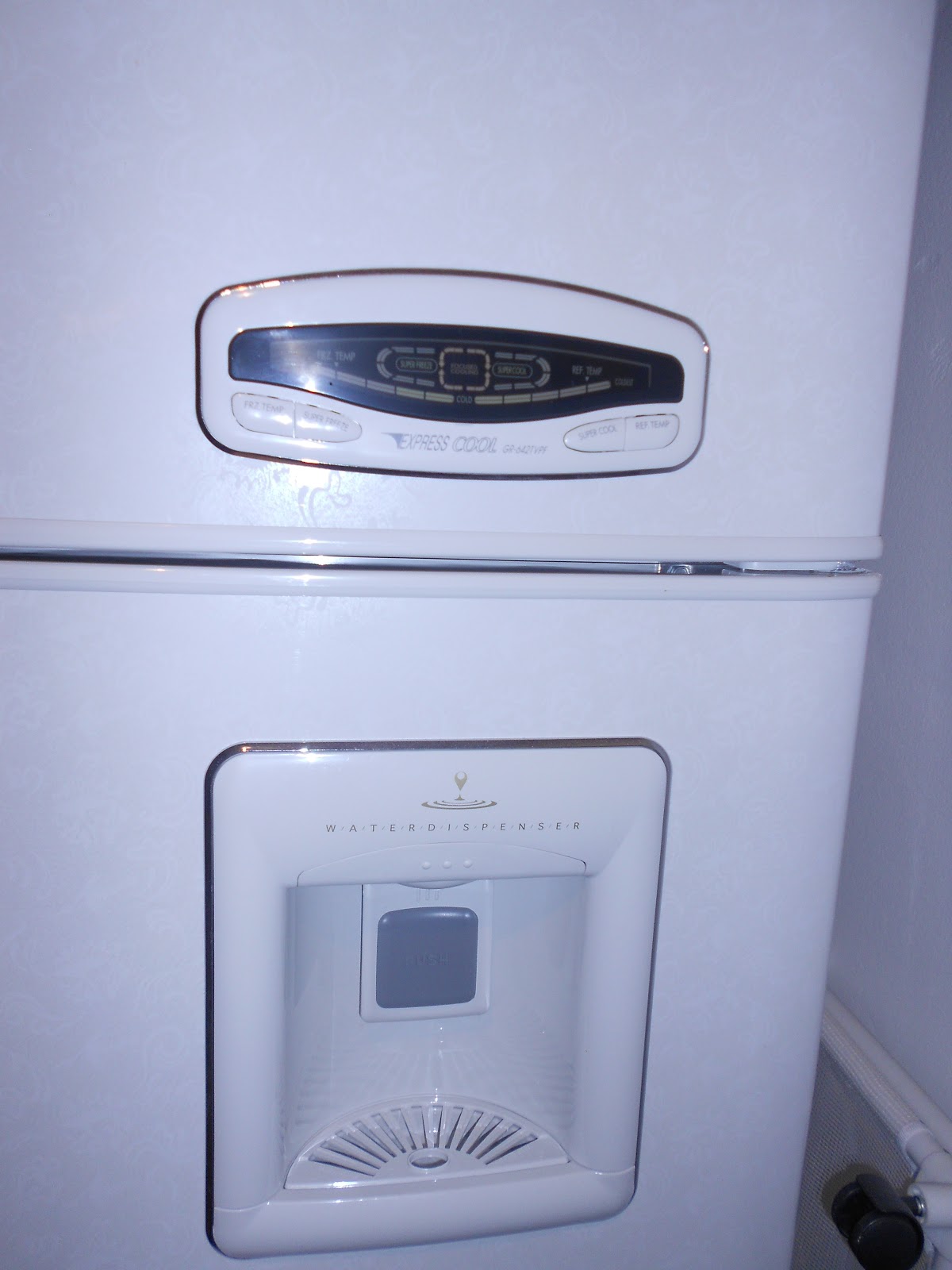 My Junk Your Treasure 220 Volt LG Refrigerator