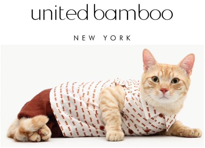 Catsparella United Bamboo 2013 Cat Fashion Calendar Casting Call