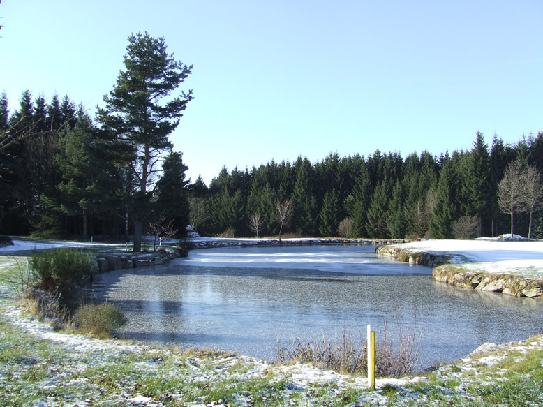 Golfresort Haugschlag, DAS Golfhotel in Österreich: WEIHNACHTSWÜNSCHE