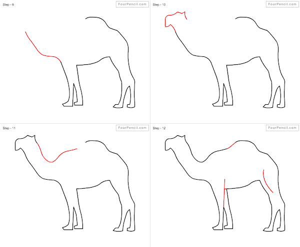 How to draw Camel - slide 1