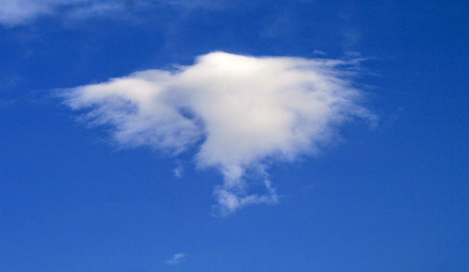 What do you see? What do you see?