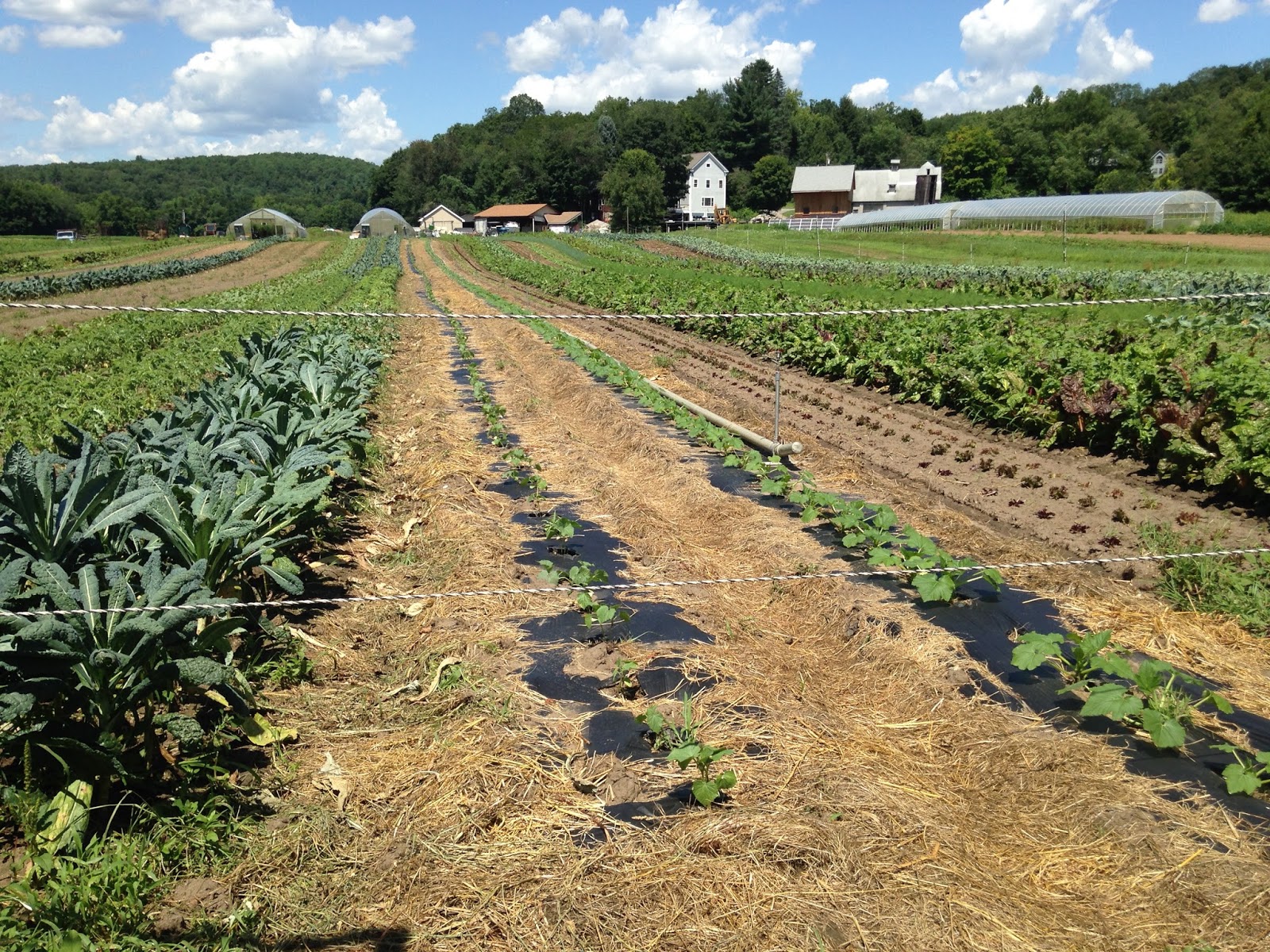 Connecticut NOFA Western Connecticut Farm Crawl