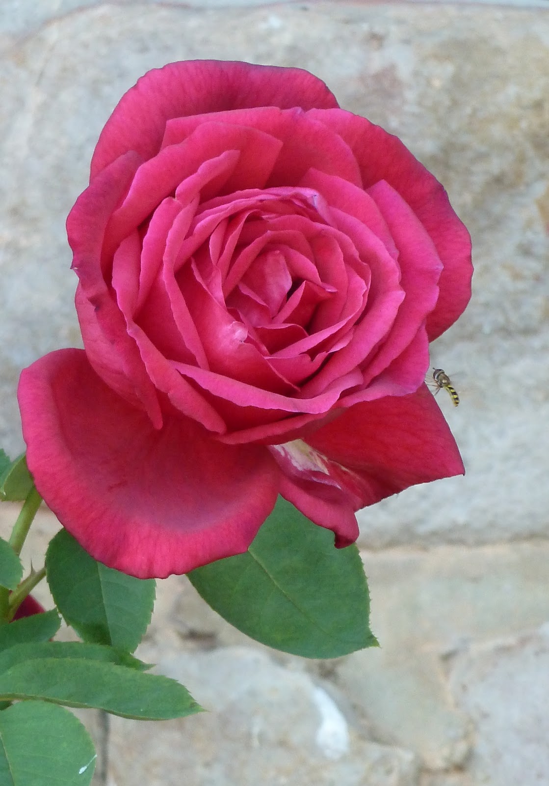 Hot Springs Bed and Breakfast on Scenic Hwy 7 Fall Colors Are Here