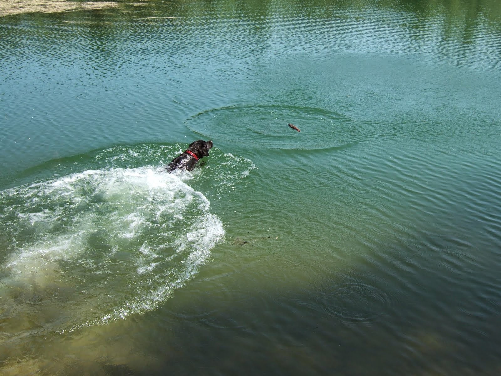 Wasser ist für mich das Grösste