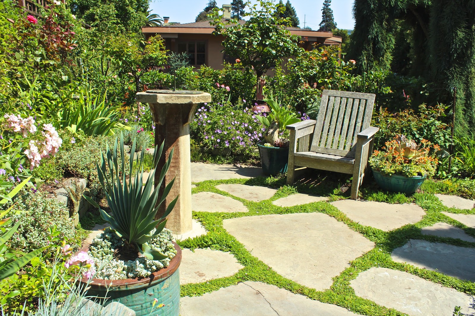 Sharing Nature's Garden: Stunning San Francisco Fling garden tour of my