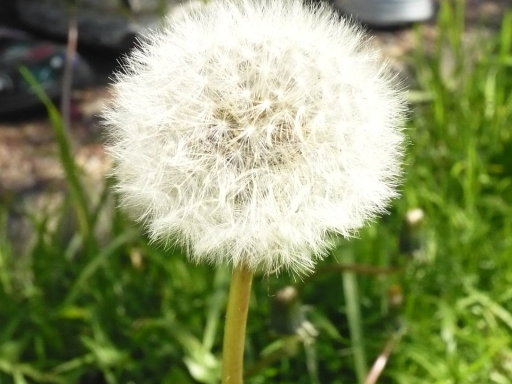 Reciclarte: octubre 2011