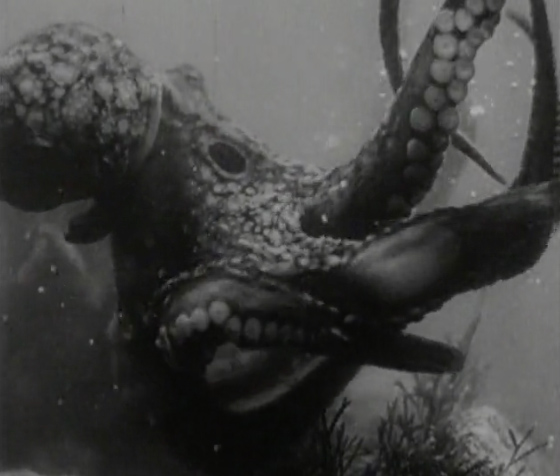 Tsfo Octopus Arm Monster From The Ocean Floor 1954