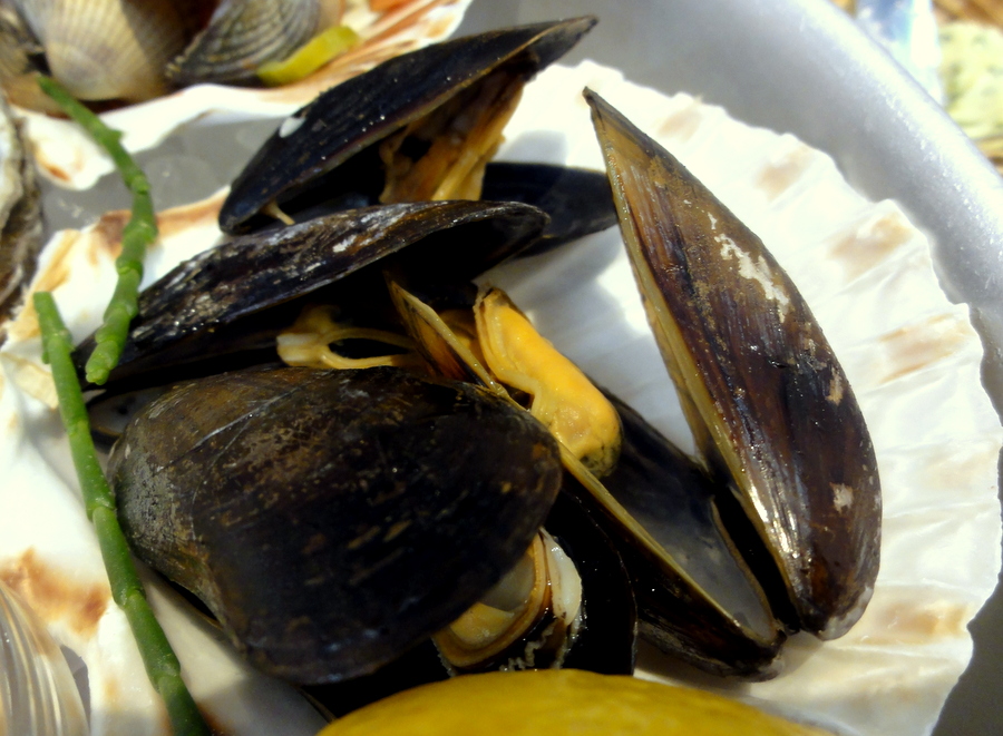 TRAVEL AND LIFESTYLE DIARIES Fruits de Mer at The Seafood Bar in