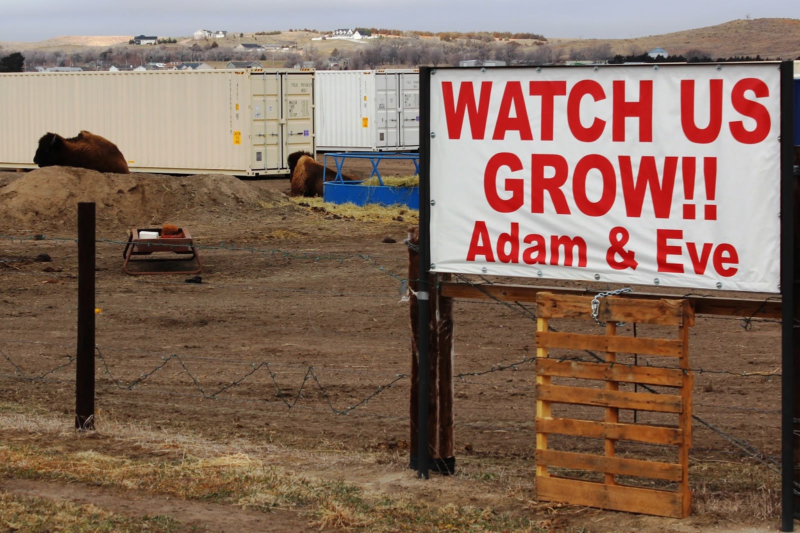 Know Nebraska Lincoln Highway, North Platte to Lodgepole