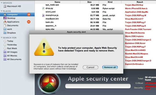 the software installation