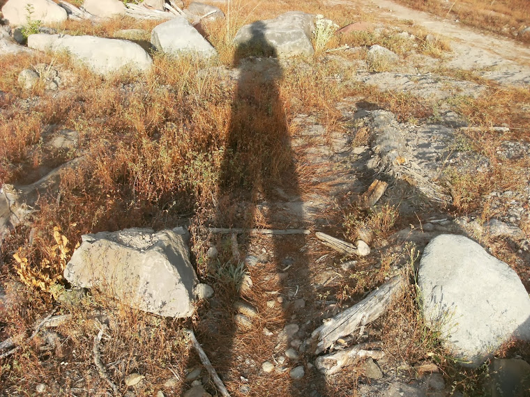 Self shadow North Slope of Mt. Hood