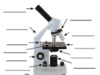 Blank Microscope Diagram Blank Microscope Diagram