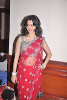 Bollywood and Tollywood acress Vedhika cute, sexy, hot, in red saree, spicy, sizzling, masala pic, image gallery
