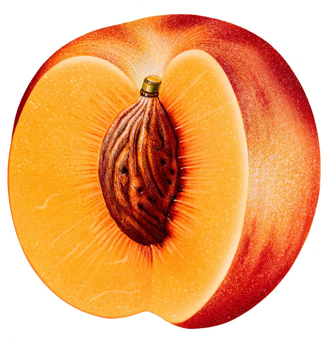 ® Gifs y Fondos Paz enla Tormenta ®: IMÁGENES DE FRUTAS