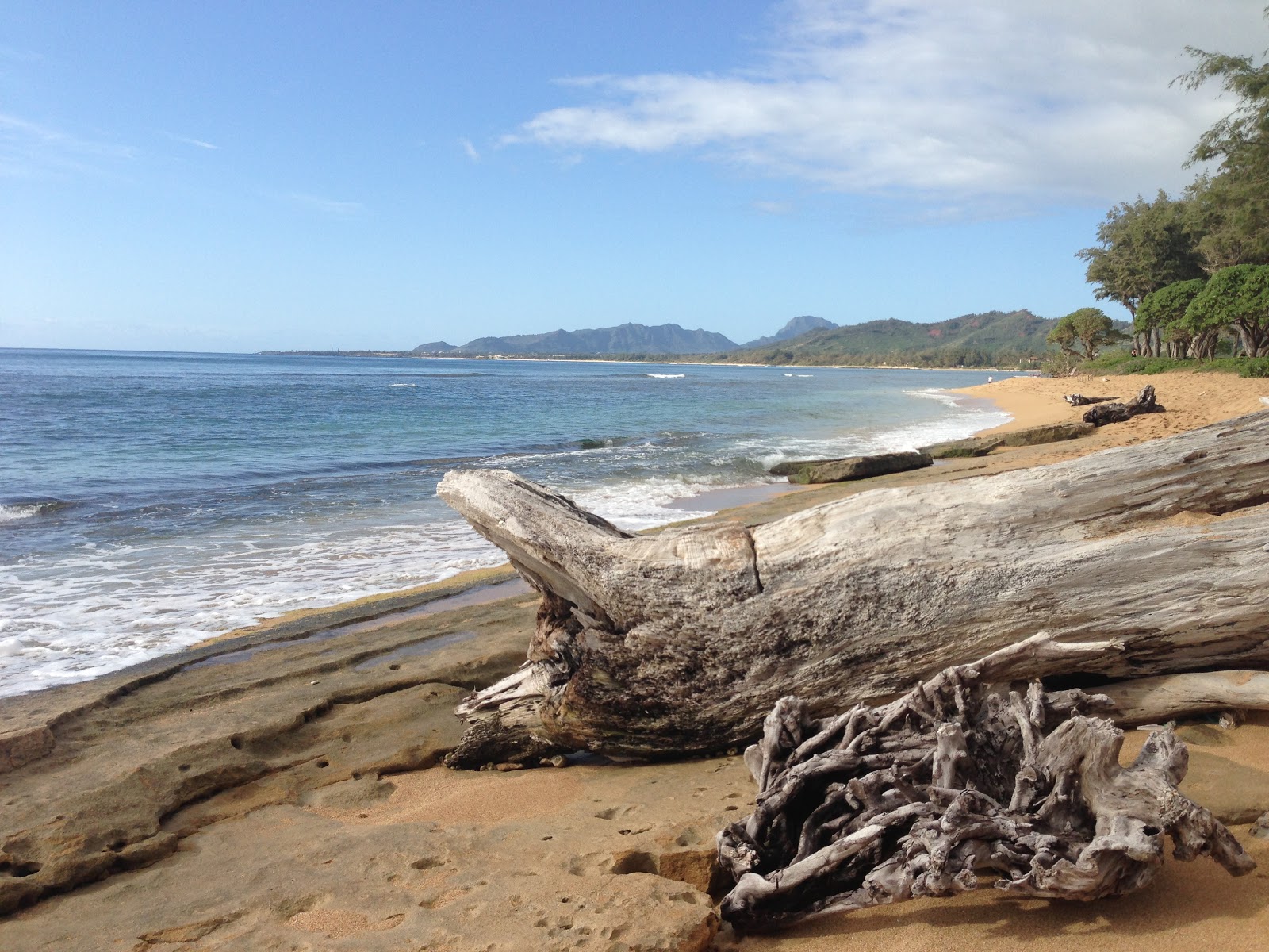 TASTE OF HAWAII IMAGES OF THE COCONUT COAST KAUAI, HAWAII