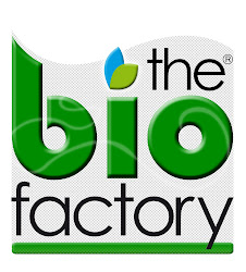 Queso Crema Ecologico The Bio Factory Quescrem