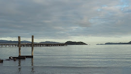 Petone pier and an old wharf, looking out to the harbour entrance