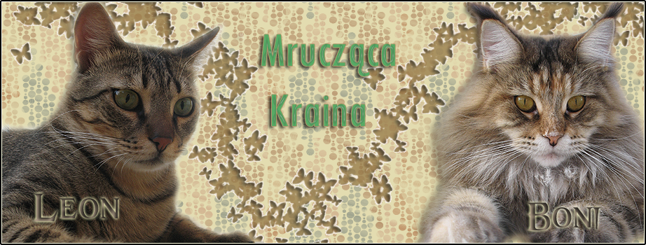 Mrucząca Kraina