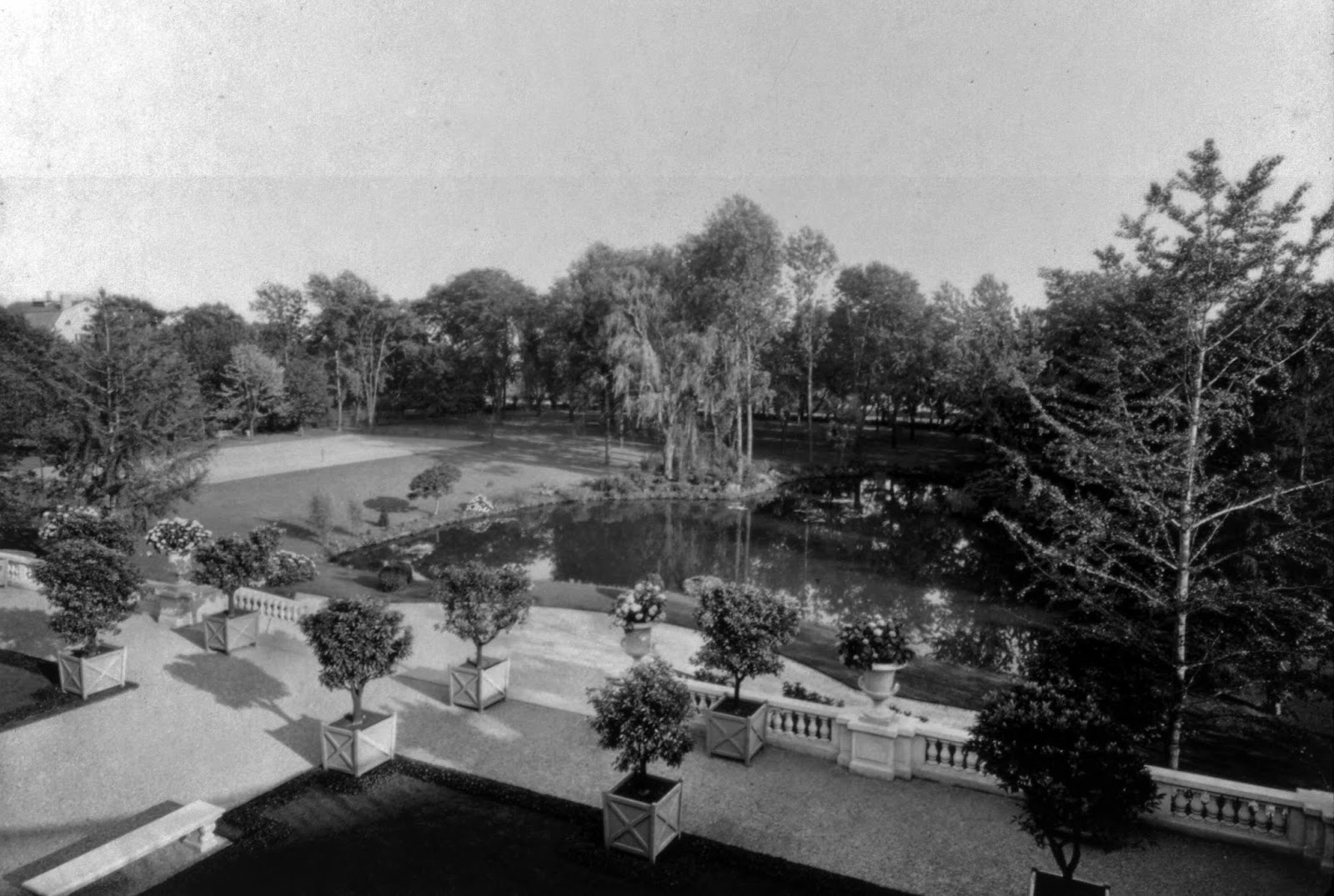 Big Old Houses A New Jersey Orchid