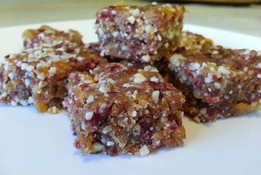 Rocki's Rock'n Blog Raw Vegan Chewy Fruit Bars
