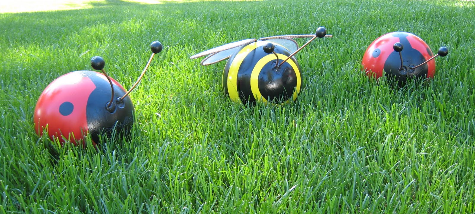 Ladybugs And Bumblebees