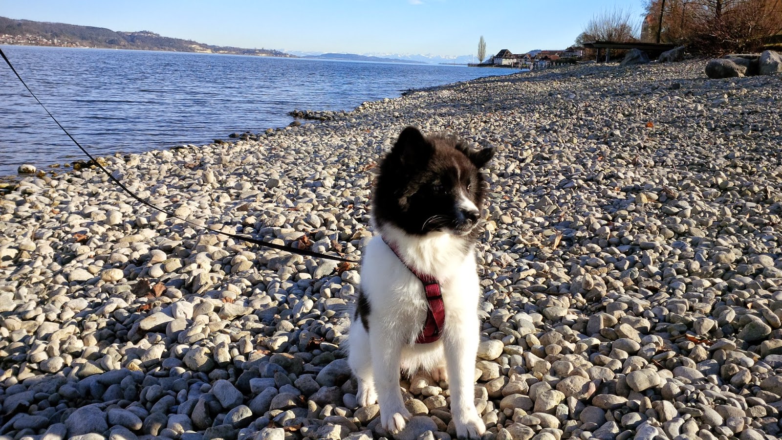 Geschenkbox Fahrradtour Bodensee Uberraschungsbox Explosionsbox