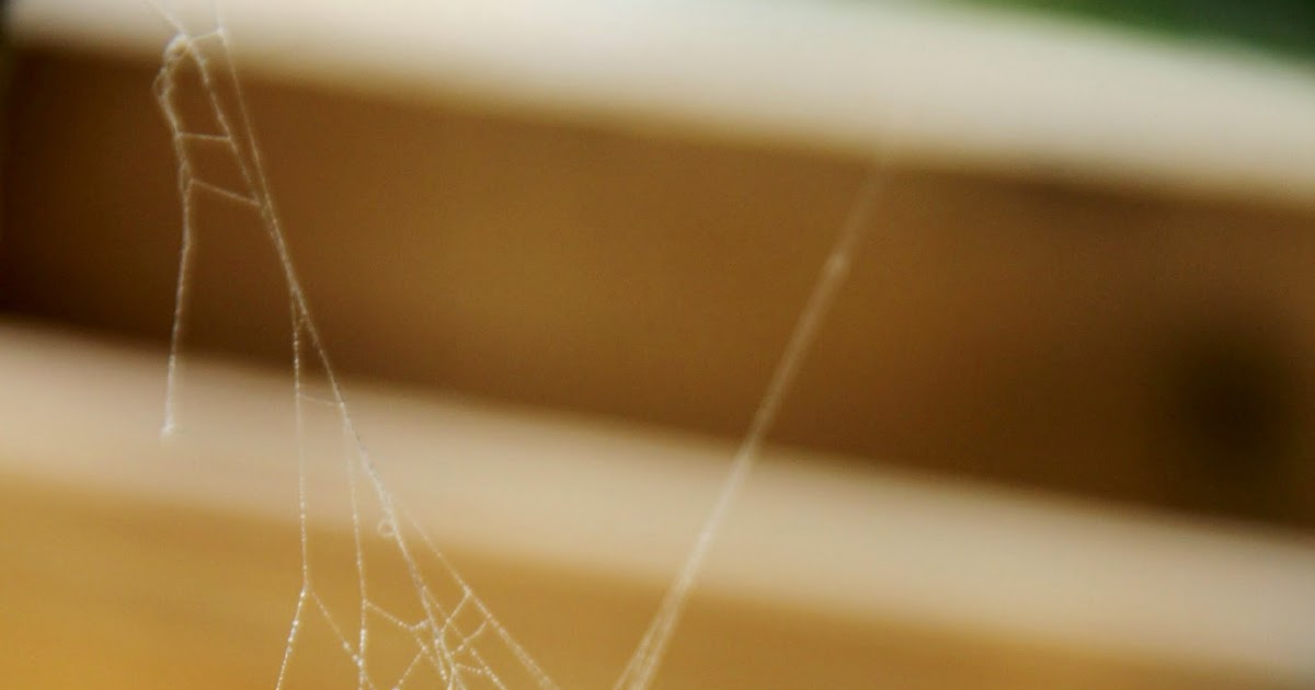 Spray Paint, Glitter, and Spider s