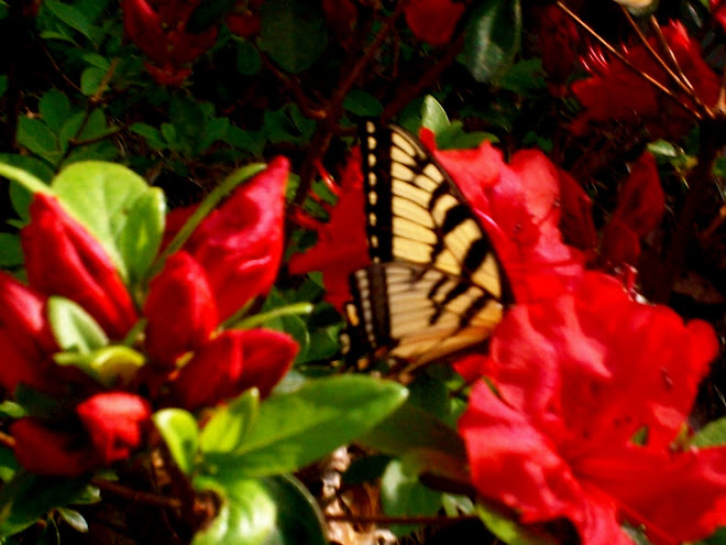 National+poetry+month+2011