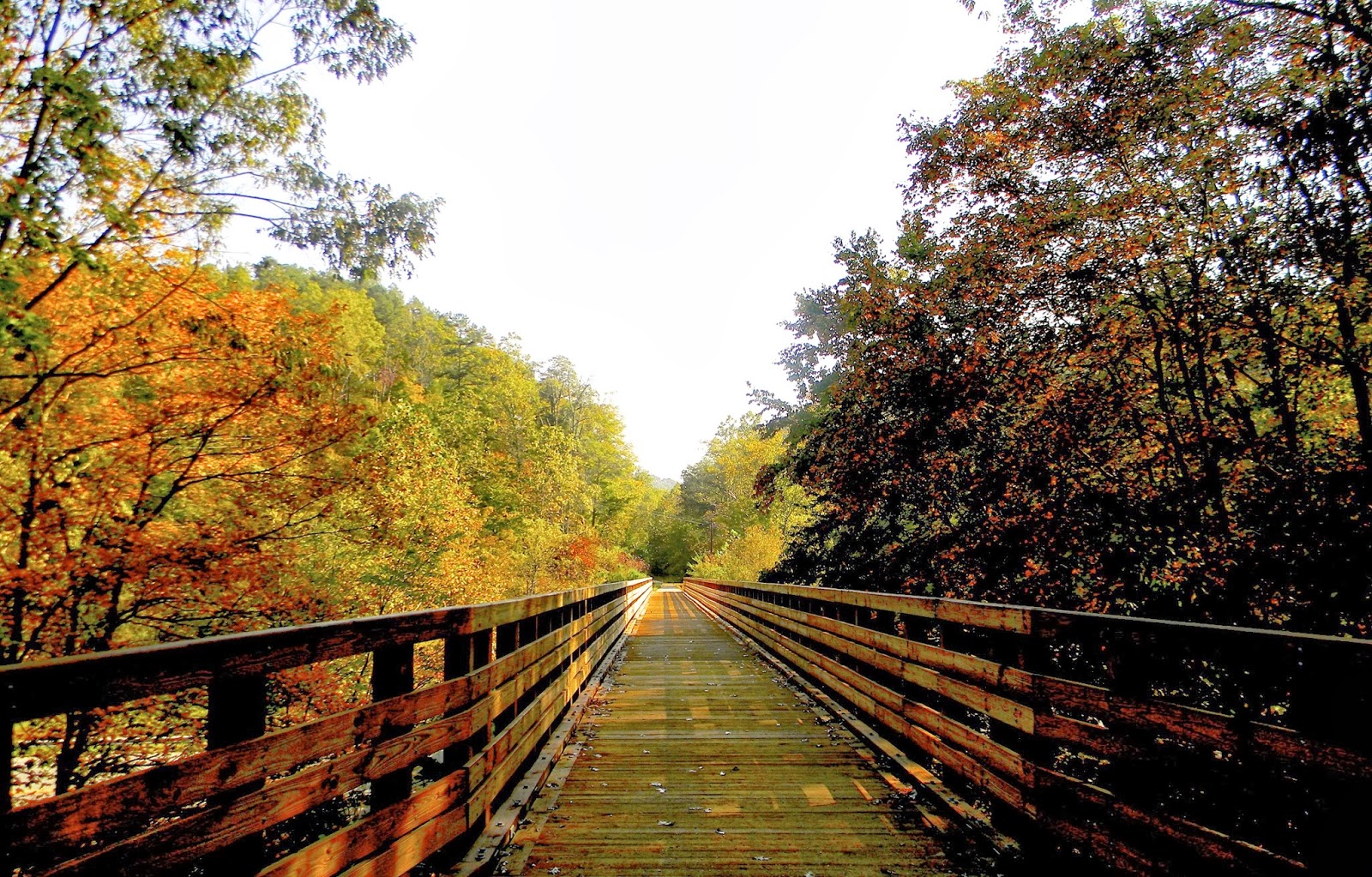 Kentucky State Naturalist's Blog A Fall Ride along the Dawkins Line