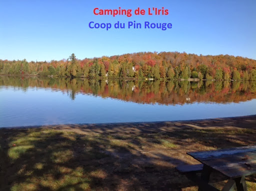 Camping et Coop Du Pin Rouge
