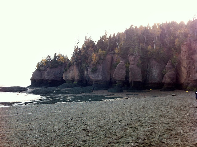 Fundy National Park - A Pinay's Diary