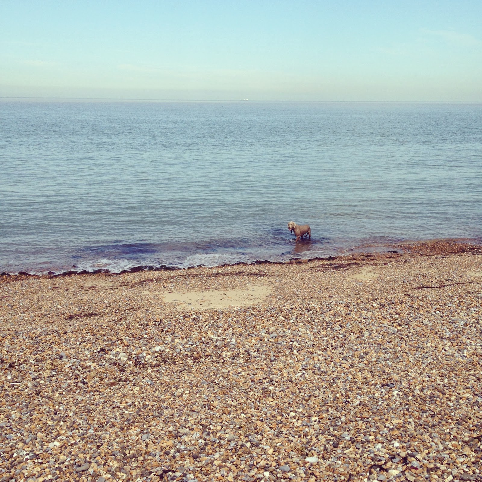 Margate Architecture Margate Dog Walks Below Minnis (Between