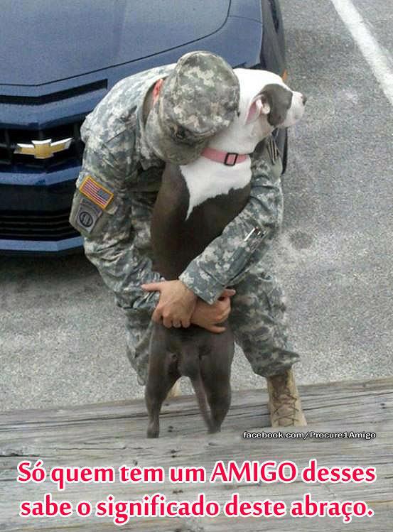 Dogs Greeting Owners Coming Home From War Dogs Greeting Owners Coming Home From War