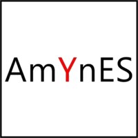 AmYnES ☑